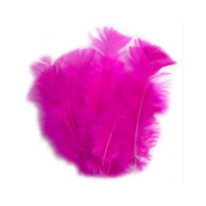 Pena Asa C/ 12 Un Pink Pena E Cia