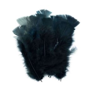 Pena Asa C/ 12 Un Preta Pena E Cia