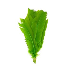 Pena Asa C/ 12 Un Verde Pena E Cia