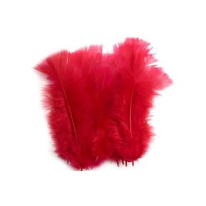 Pena Asa C/ 12 Un Vermelha Penna & Cia