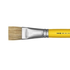 Pincel Chato Ref 815 N.24 Tigre