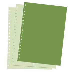Refil para Caderno Smart Colegial 48fls Verdes DAC