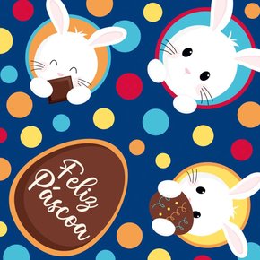 Saco Express 24x24cm Para Ovos Até 150g Unidade Sortido Cromus