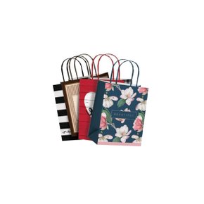 Sacola Presente Pequena Estampa Sortida Unidade Cromus