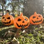 Abobora Halloween Grande Unidades MasterToy