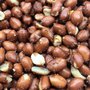 Amendoim Frito Tatu com 1,01kg