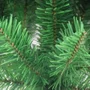 Árvore de Natal 60cm 52 Galhos Global