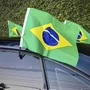 Bandeira Brasil Carro 30x45cm Unidade
