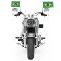 Bandeira Brasil Moto/Bicicleta 15x21cm Unidade