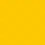 Bexigão Super Amarelo Citrino Unidade São Roque