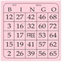 Bloco de Bingo Rosa com 100 Folhas Free