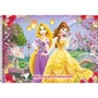 Caderno Desenho Esp CD 80Fls Bela Rapunzel Princesas Tilibra