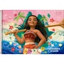 Caderno Desenho Esp CD 80 Fls Rosa Moana 2 Tilibra
