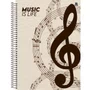 Caderno de Música Espiral Univ CD 80fls Sortido Animativa