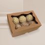 Caixa para 06 Doces com Visor Kraft Unidade Conceito