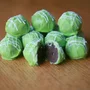 Corante em Pó para Chocolate Verde 12g Mix