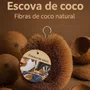 Escova Coco Tamanho P Shangrila