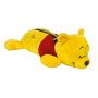Estojo 1 Divisória Urso Pooh Pelúcia DAC