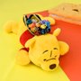 Estojo 1 Divisória Urso Pooh Pelúcia DAC