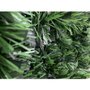 Festão Verde 10cm x 5m Ref FFD10 Fujiron