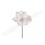 Flor Natalina Branca 1692953 Cromus