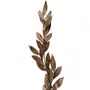 Flor Natalina Folhagem Bronze Grande R1616957 Cromus