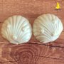 Forma Acetato Concha Shell Média Cód.154 Porto Formas