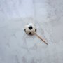 Forma Acetato Pirulito Bola Cód.322 BWB
