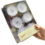 Forminha Doces Daisy Cristal com 50 Unidades Ultrafest