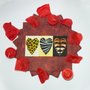 Guardanapo Estampado África C/ 20 Un Regina