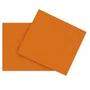 Guardanapo Laranja 20x23 C/ 50un