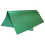 Kit 05 Cartolinas EVA com Glitter Verde Escuro Seller