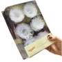 Kit Forminha para Doces Daisy Cristal C/ 100 Unidades Ultrafest