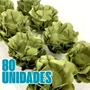Kit Forminha para Doces Style Verde Oliva C/ 80 Unidades Ultrafest