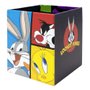 Kit Organizadores de Mesa e Bloco de Anotações Looney Tunes Dac