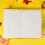 Kit Pooh Pelúcia Caderno e Organizador DAC