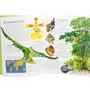 Livro Lar Dos Animais Florestas Tropicais Todolivro