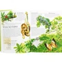 Livro Lar Dos Animais Florestas Tropicais Todolivro