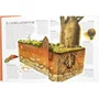 Livro Lar Dos Animais Savanas Africanas Todolivro