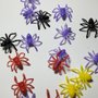 Mini Aranhas Coloridas 25 Unidades Capri Importado