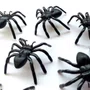 Mini Aranhas com 25 Unidades Capri Importado