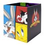 Organizadores de Mesa Grande 2 Peças Looney Tunes DAC