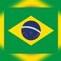 Painel TNT Bandeira do Brasil Copa Mewi