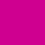 Pó Decoração Neon Pink Glitz 5g