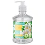 Sabonete Líquido Chá Branco 450ml Premisse